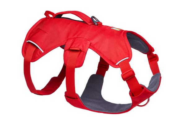 Web Master™ Dog Harness with Handle Ruffwear - Main Image