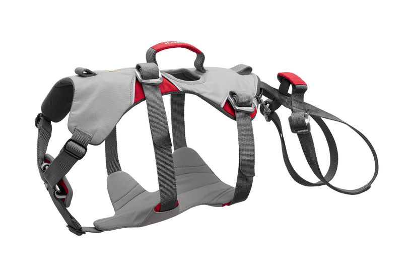Used - Doubleback™ Full Body Dog H