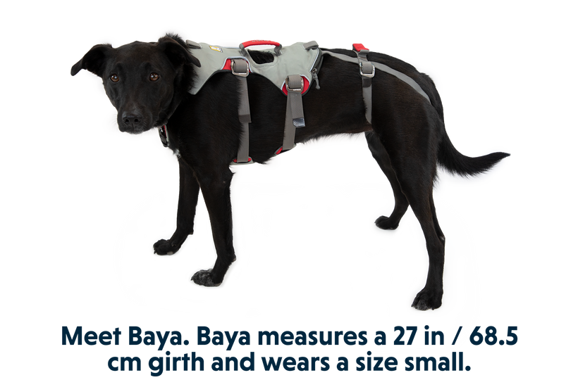 Used - Doubleback™ Full Body Dog H