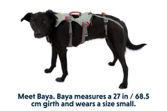 Used - Doubleback™ Full Body Dog H
