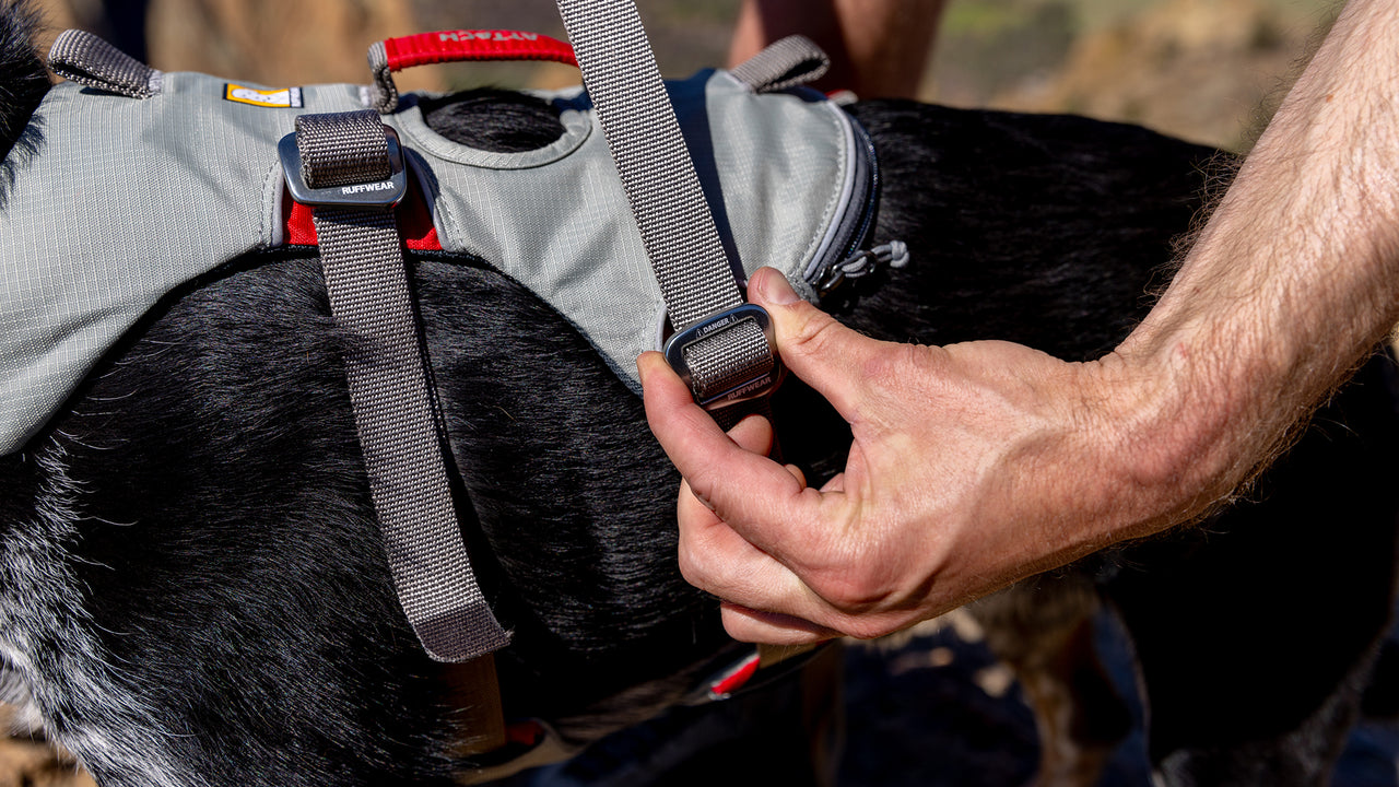 Always Double Back And Double Check Harnesses – UNSW Outdoors Club