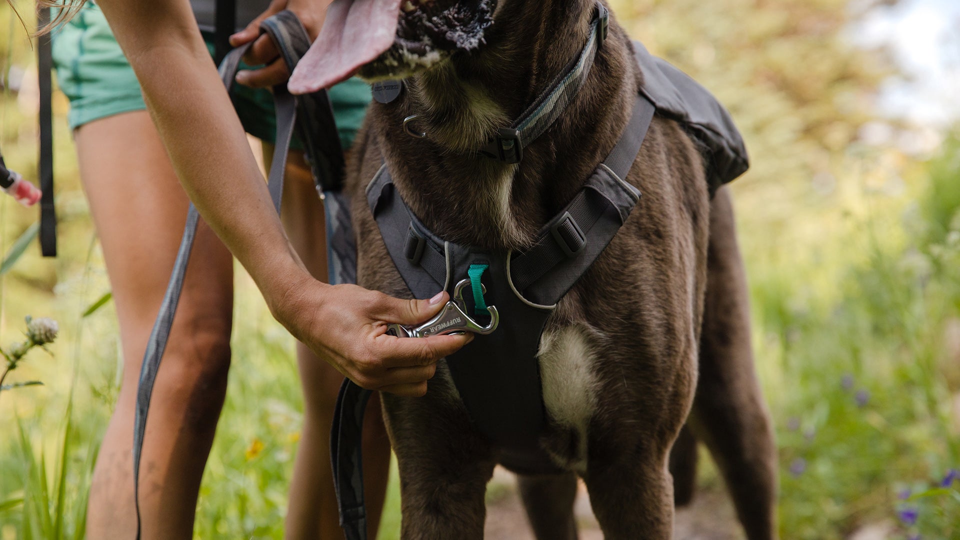 Switchbak Multi Function Dog Harness Ruffwear