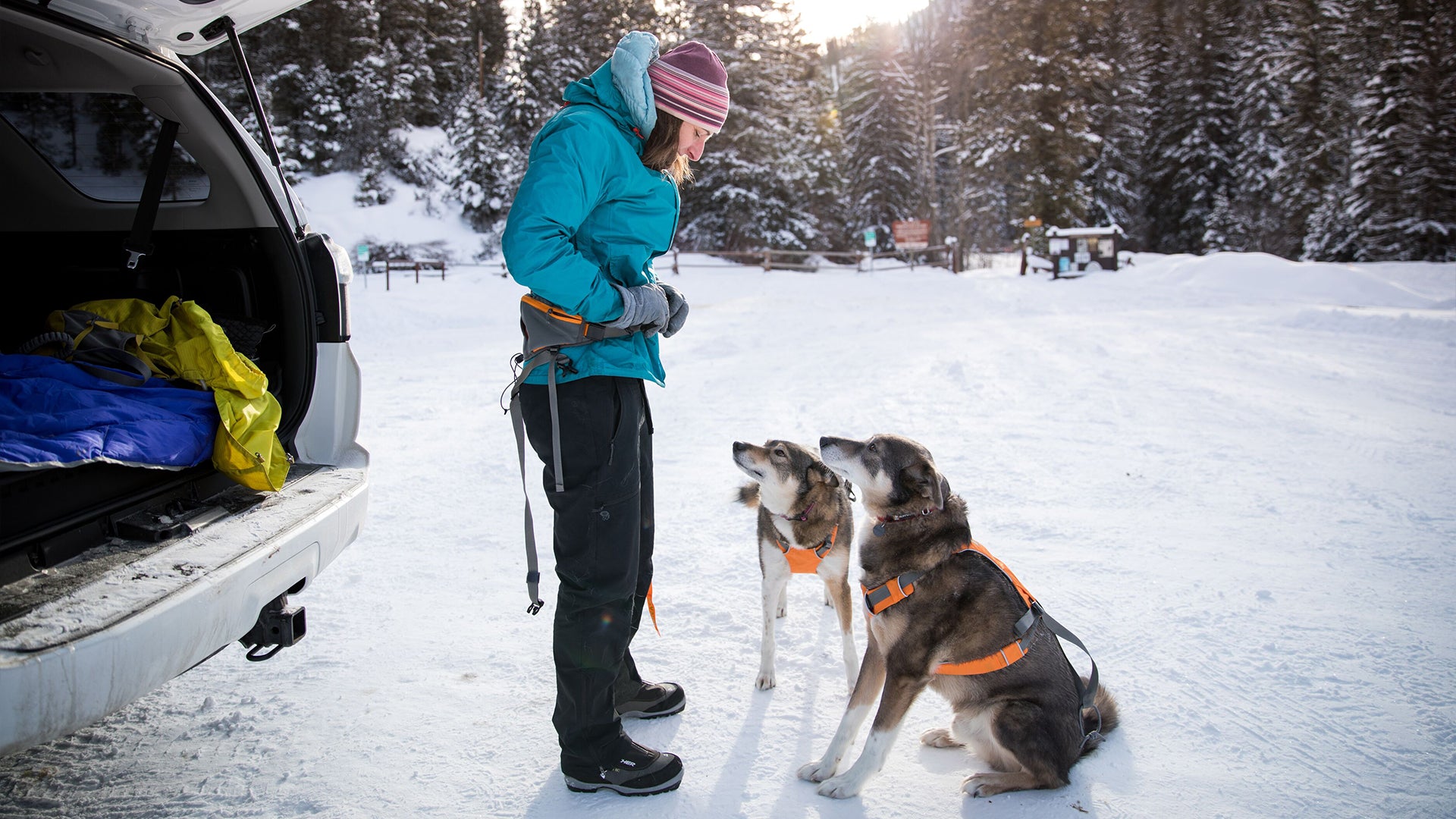 Omnijore Dog Joring System Ruffwear