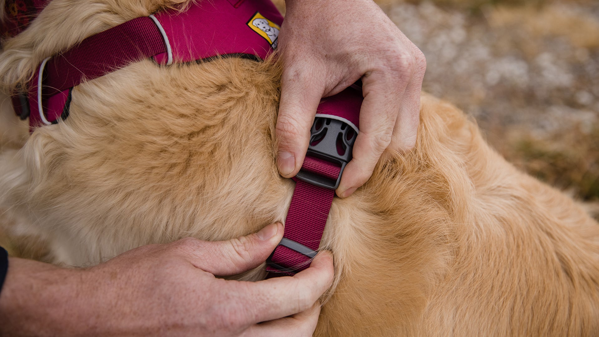 Ruffwear no pull store harness