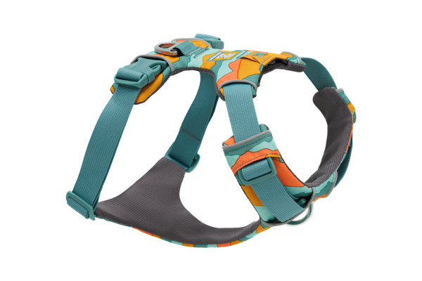 Colorful dog deals harness