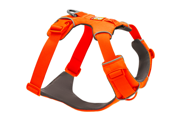 Fall Colors | Orange Dog Gear | Ruffwear Fall Colors | Orange Dog Gear | Ruffwear