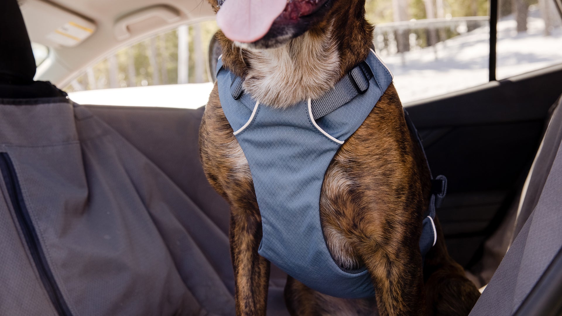 Load Up Dog Car Harness Crash Tested Strength Rated Ruffwear