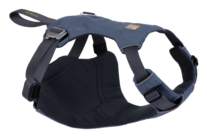 Load Up™ Dog Car H