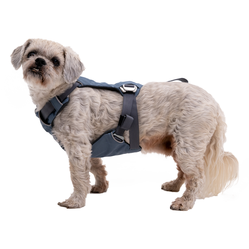 Load Up™ Dog Car Harness CrashTested, StrengthRated Ruffwear