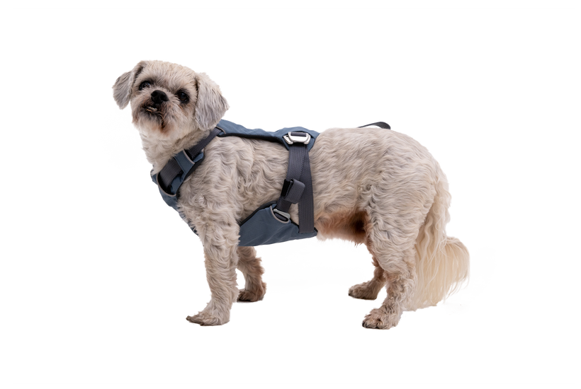 Used - Load Up™ Dog Car H