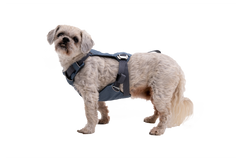 Used - Load Up™ Dog Car H
