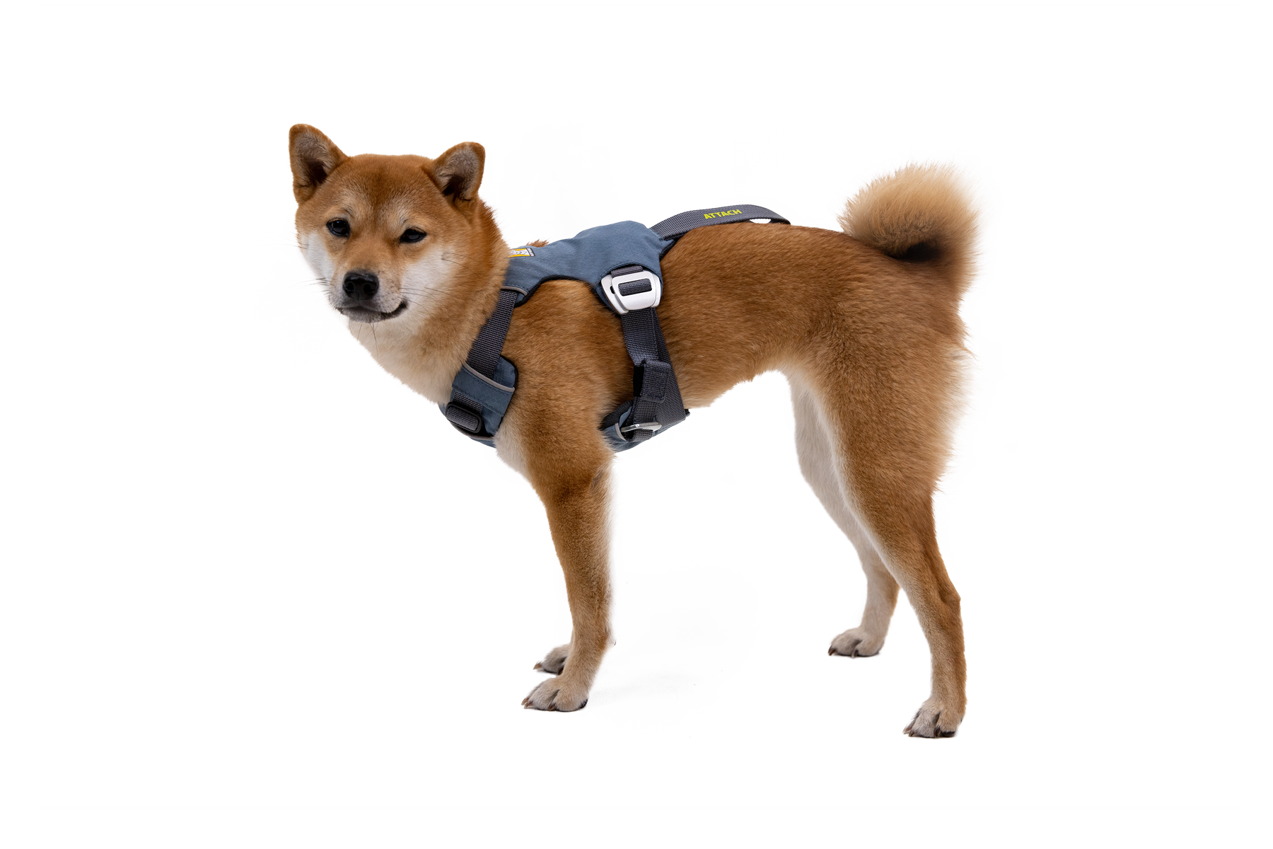 Load Up™ Crash Tested Dog Harness Strength-Rated Hardware Ruffwear