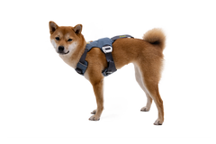 Used - Load Up™ Dog Car H