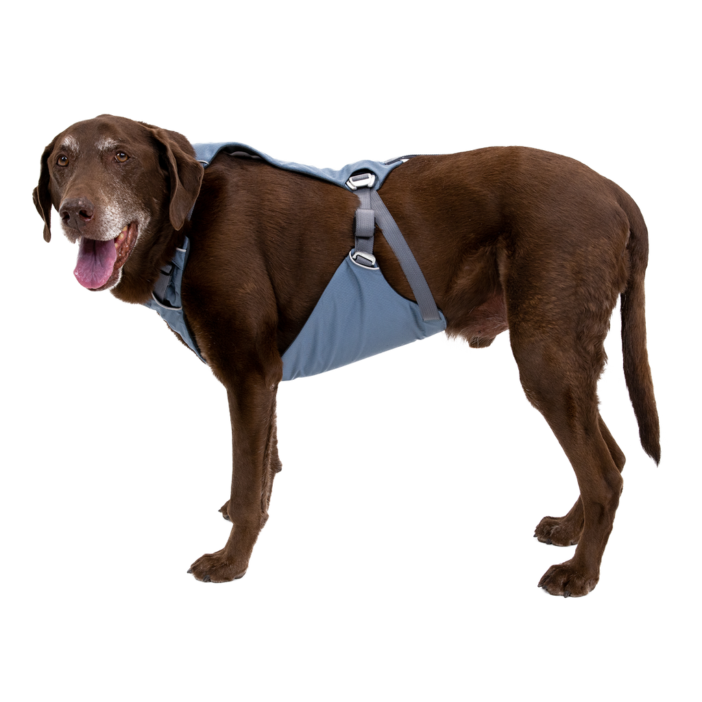 Load Up™ Dog Car Harness CrashTested, StrengthRated Ruffwear