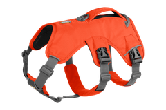 RP - Web Master™ Dog Harness with Handle