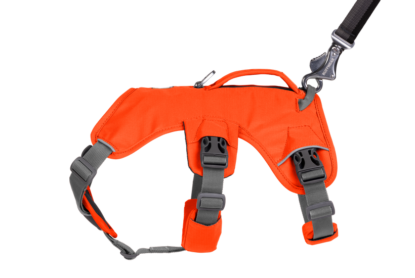 RP - Web Master™ Dog Harness with Handle