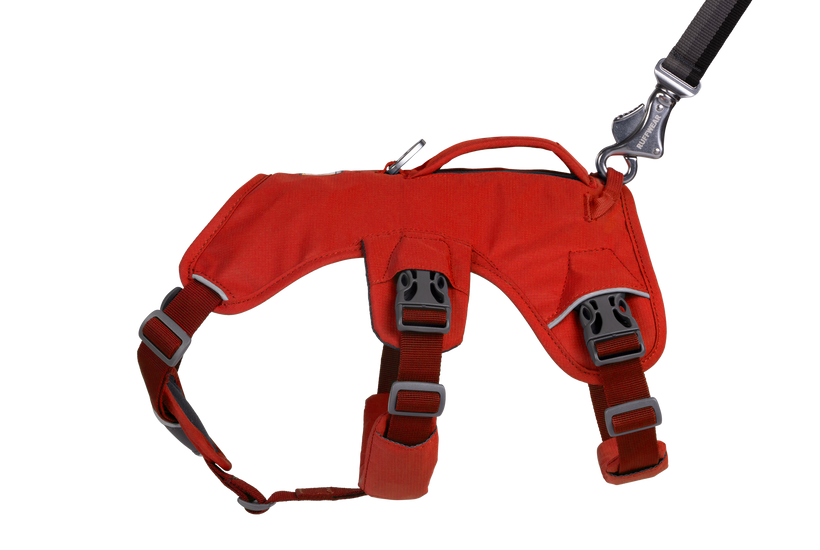 RP - Web Master™ Dog Harness with Handle