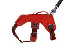 RP - Web Master™ Dog Harness with Handle