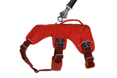 RP - Web Master™ Dog Harness with Handle