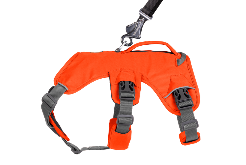 RP - Web Master™ Dog Harness with Handle