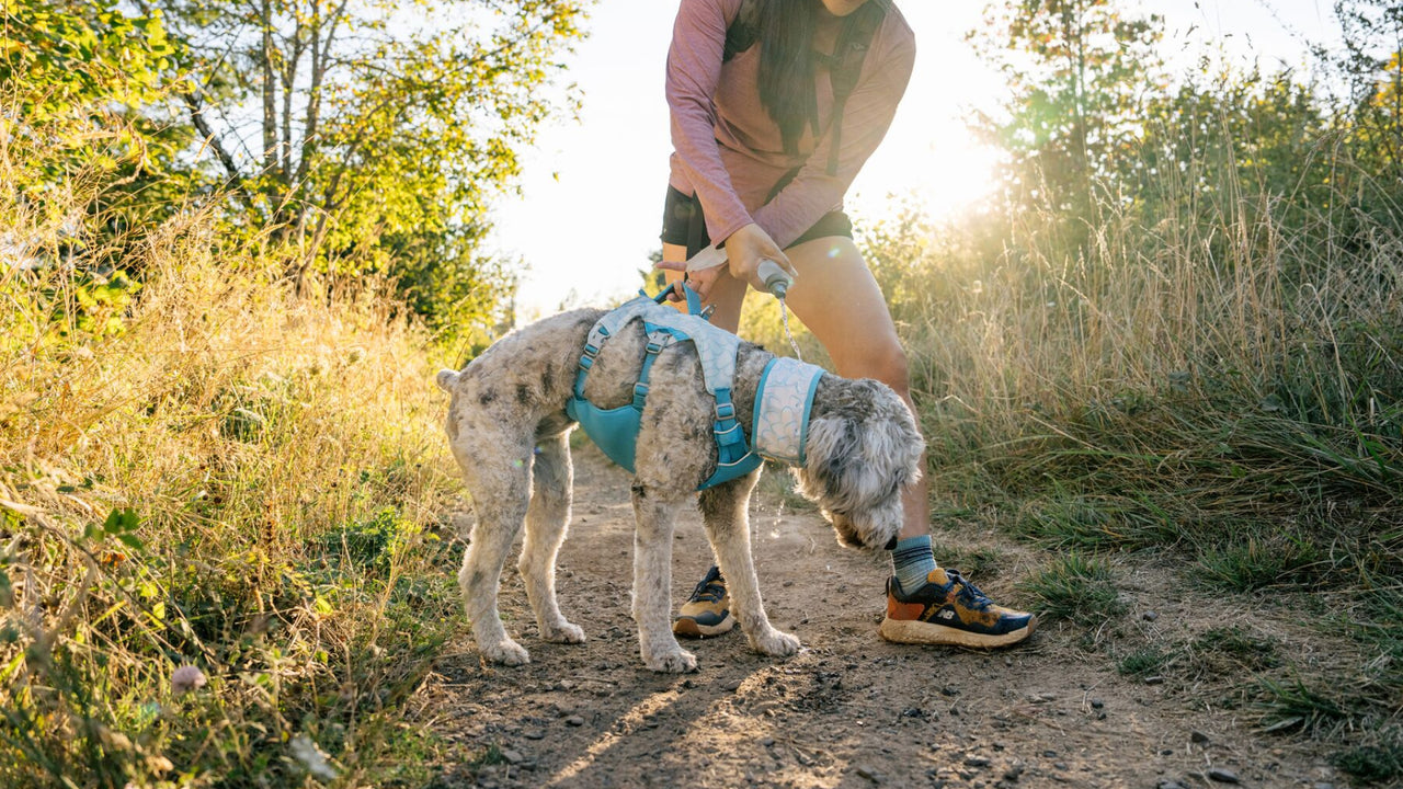 Mango acolchado para asistencia