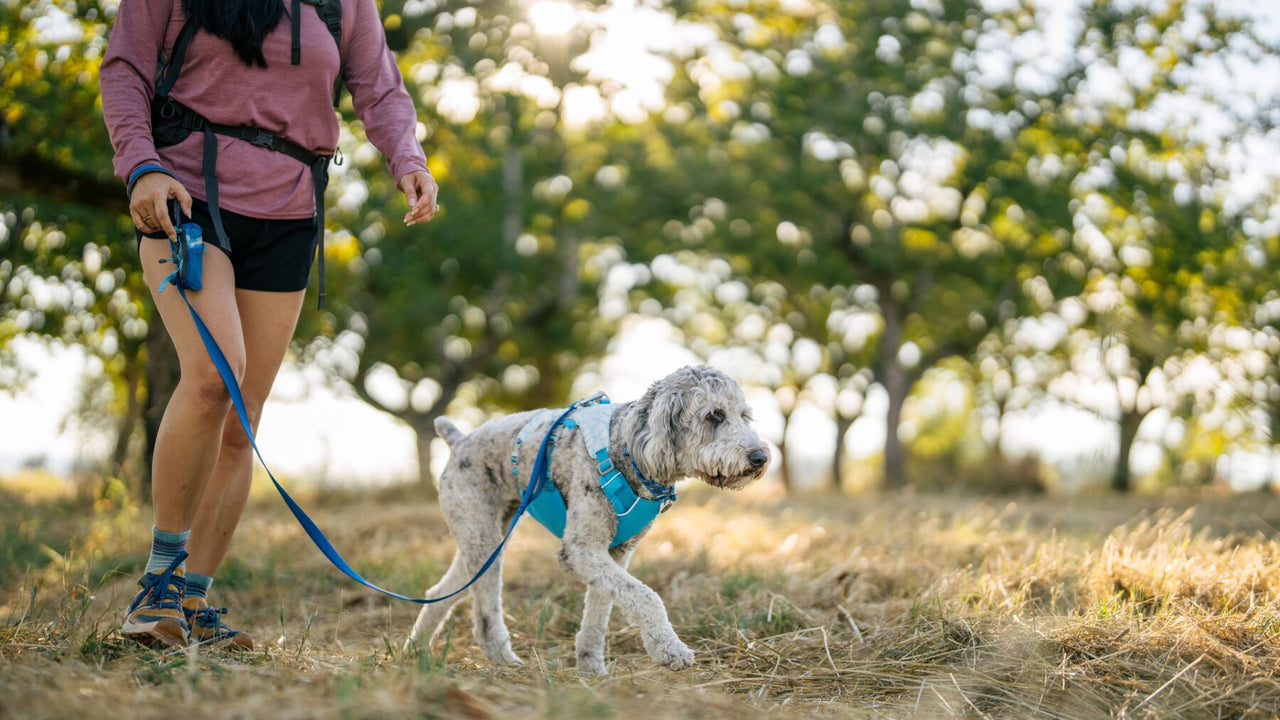 Puntos de conexión de correa Ruffwear