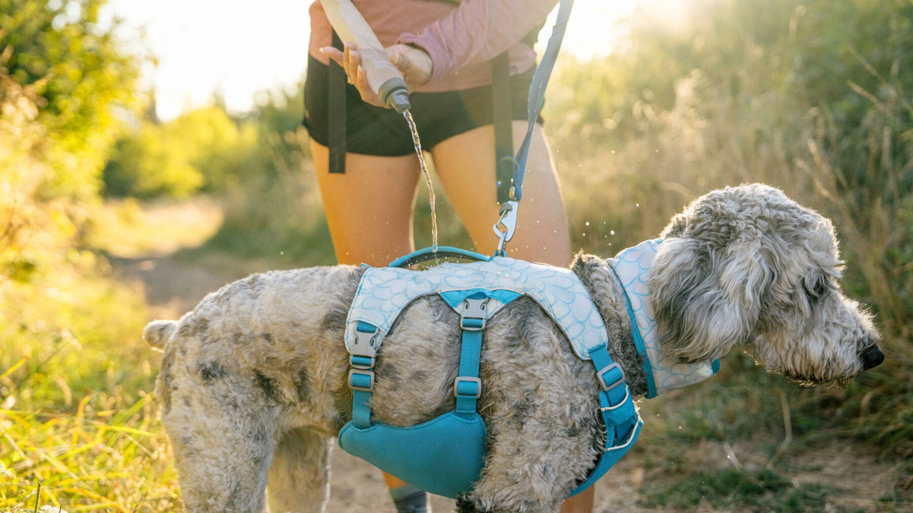 Tecnología de Enfriamiento Ruffwear