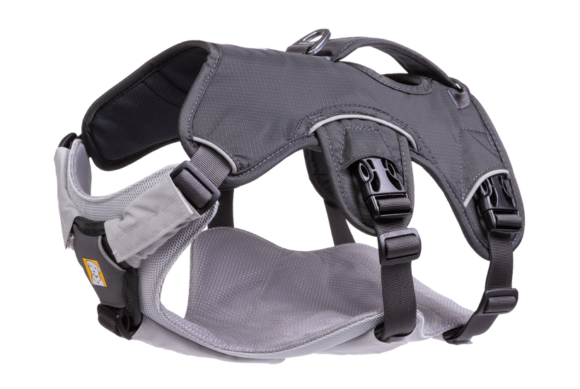 Ruffwear webmaster harness xs best sale