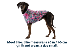 RP - Climate Changer™ Dog Fleece