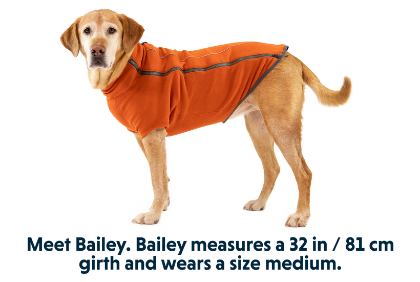 RP - Climate Changer™ Dog Fleece