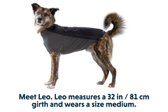 RP - Cloud Chaser™ Dog Jacket