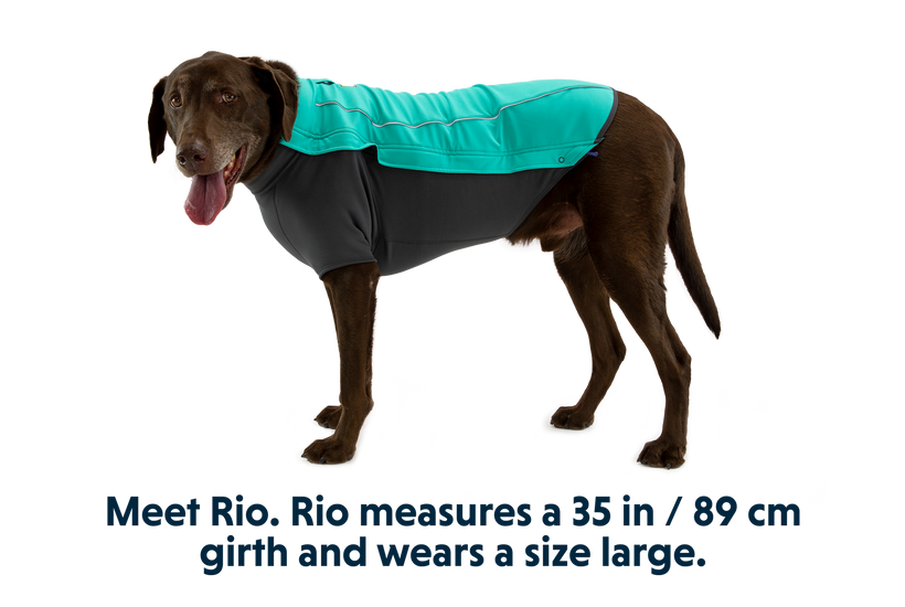 RP - Cloud Chaser™ Dog Jacket