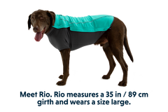 RP - Cloud Chaser™ Dog Jacket