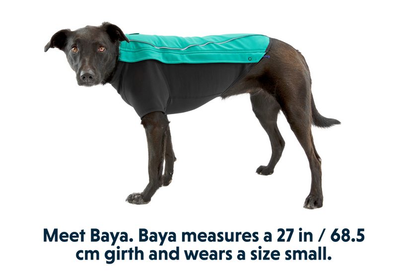 RP - Cloud Chaser™ Dog Jacket