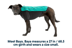 RP - Cloud Chaser™ Dog Jacket