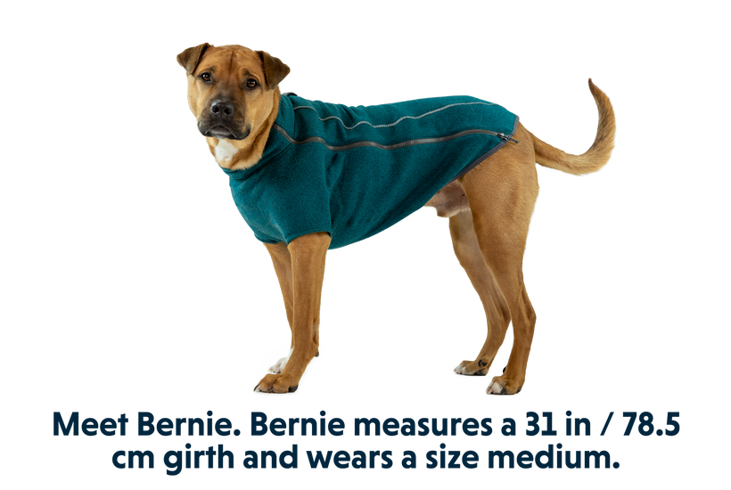 RP - Fernie™ Dog Sweater