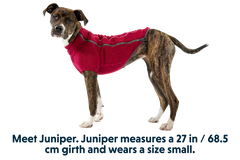 RP - Fernie™ Dog Sweater