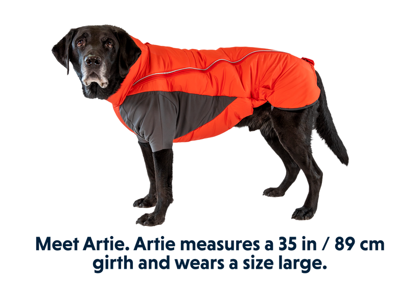 RP - Furness™ Dog Jacket