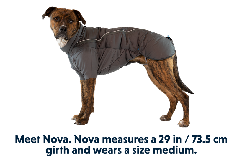 RP - Furness™ Dog Jacket