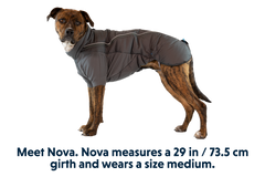 RP - Furness™ Dog Jacket