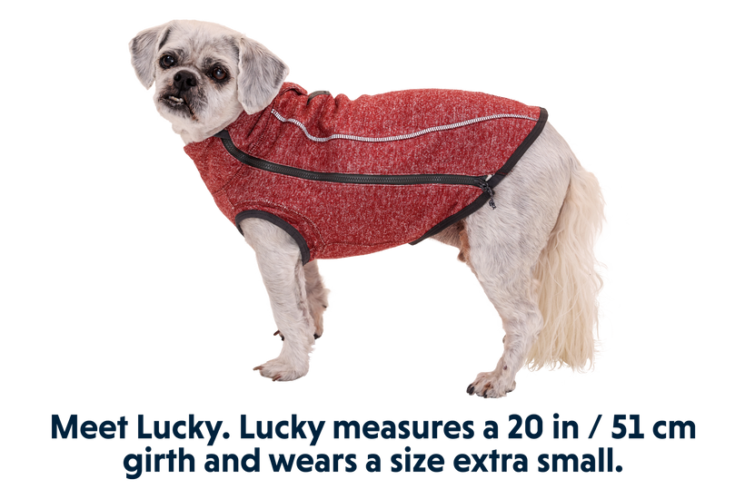 RP - Hemp Hound™ Dog Sweater