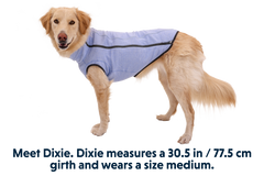 RP - Hemp Hound™ Dog Sweater