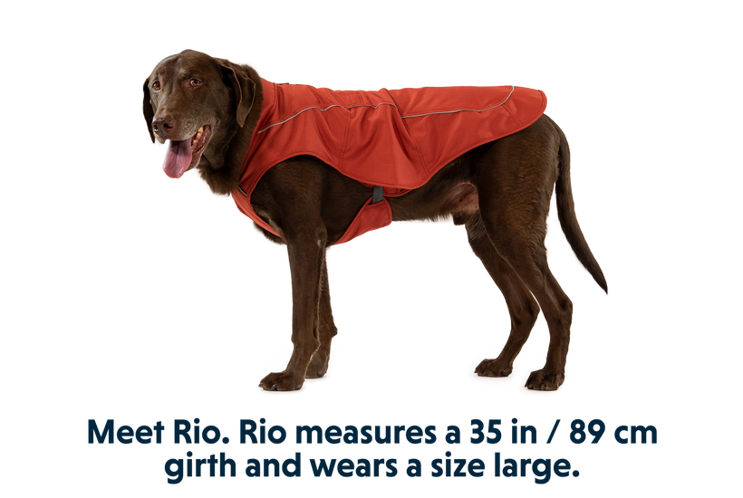 RP - Overcoat™ Dog  Jacket