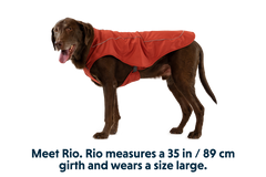 RP - Overcoat™ Dog  Jacket