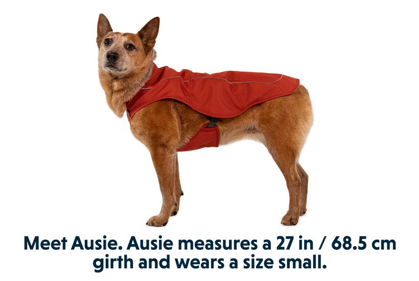 RP - Overcoat™ Dog  Jacket