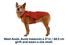 RP - Overcoat™ Dog  Jacket