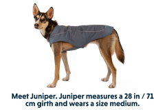 RP - Overcoat™ Dog  Jacket