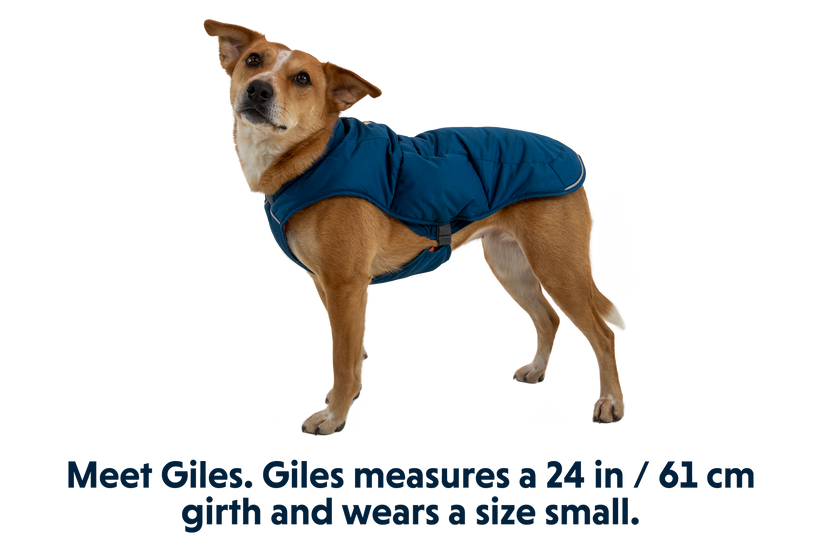 RP - Quinzee™ Dog Puffer Jacket