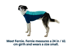 RP - Undercoat™ Dog Water Jacket