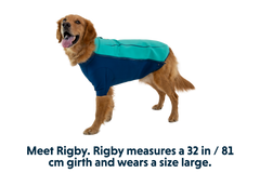 RP - Undercoat™ Dog Water Jacket